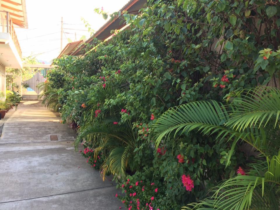 La Casa Del Italiano Bed & Breakfast Tarapoto Dış mekan fotoğraf